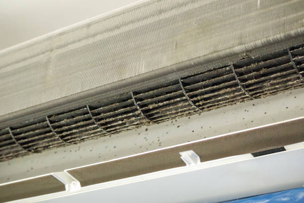 Best Professional Duct Cleaning Services  in Dunlap, IA